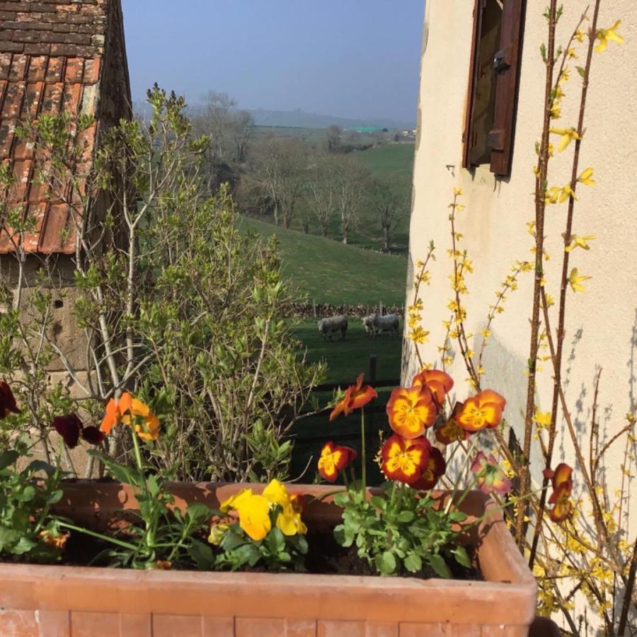 Villa Gite Le Mur Magnifique Longere Au Bourgogne-Du-Sud Oye Exterior foto